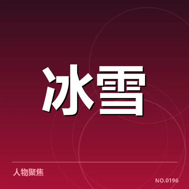 参赛选手与赛程安排的具体事实